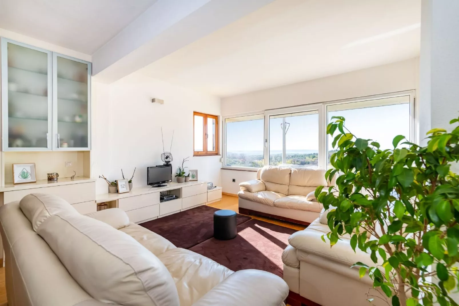 Apartment Cvita-Salon