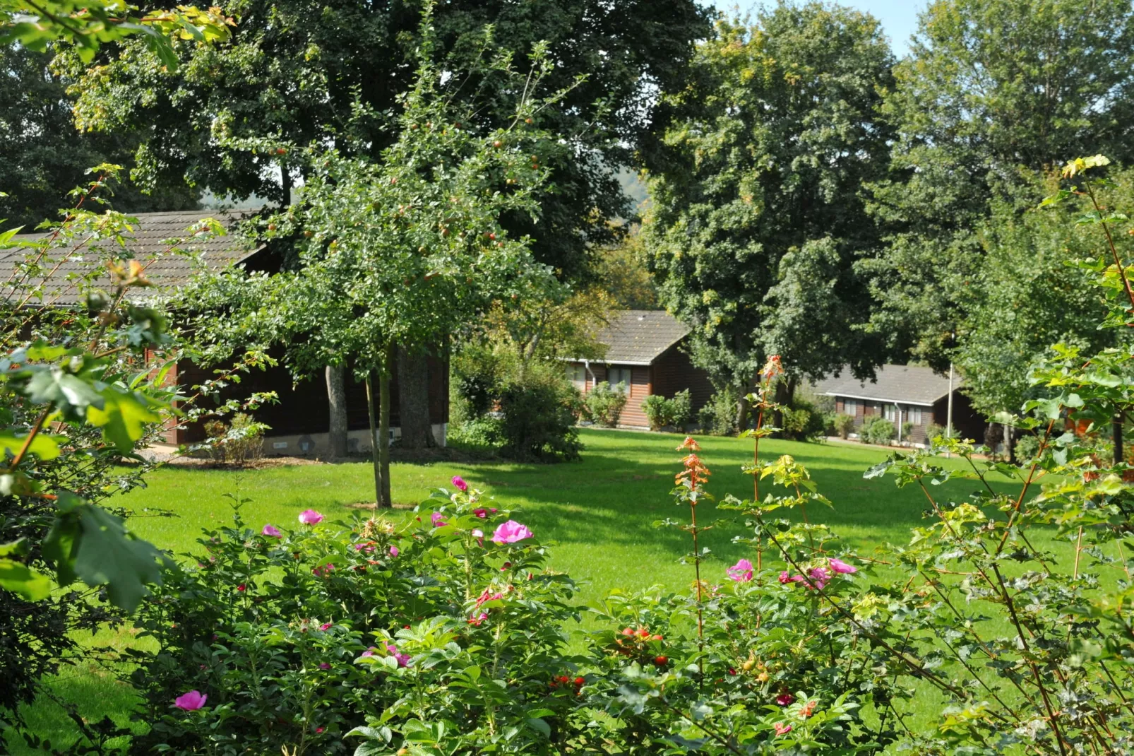 Vakantiepark La Boverie 2-Atmosphere
