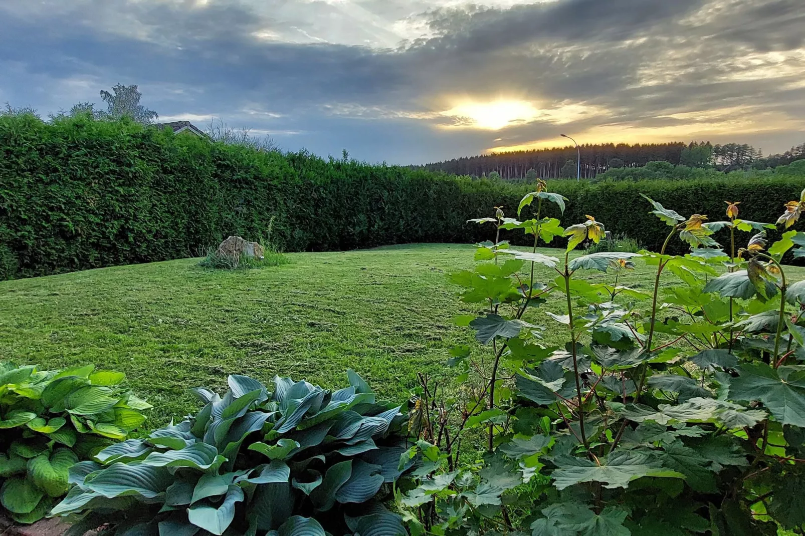 Ardennes Bleu - 10 pers maximum-Aussicht Sommer