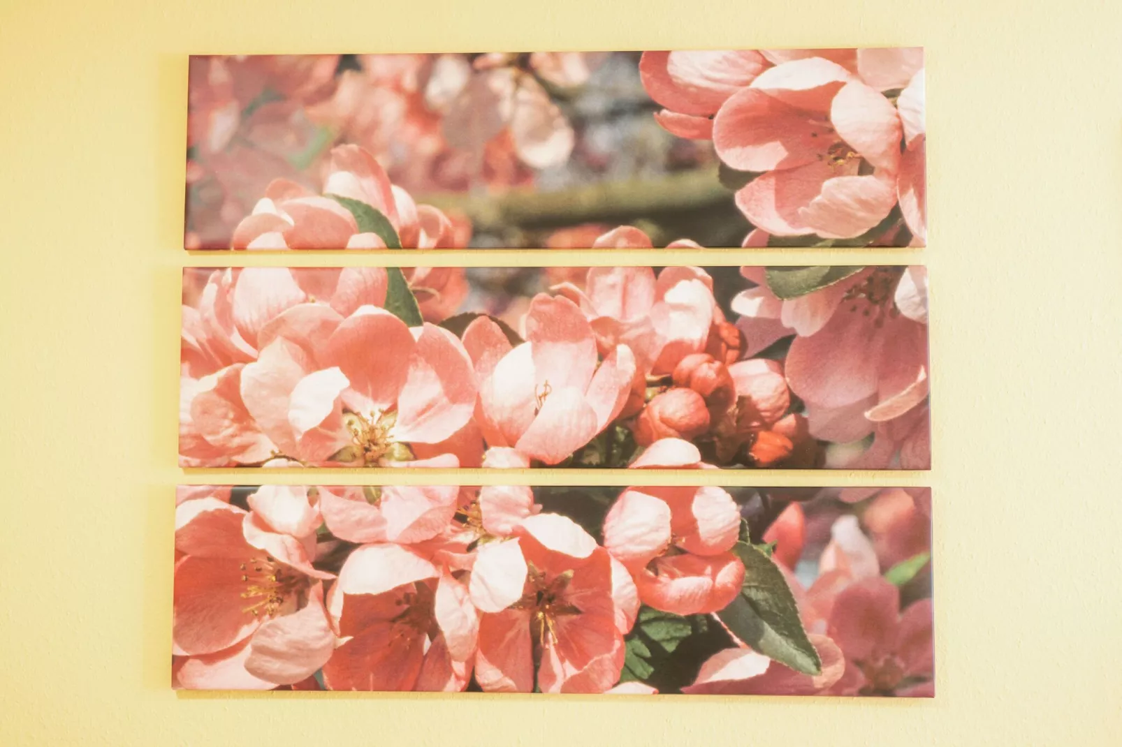 Blume-Atmosphere