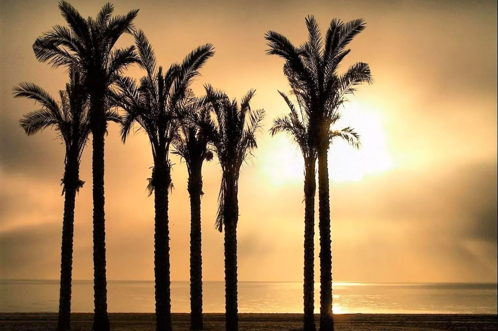Residencial Mediterraneo-Ambiance