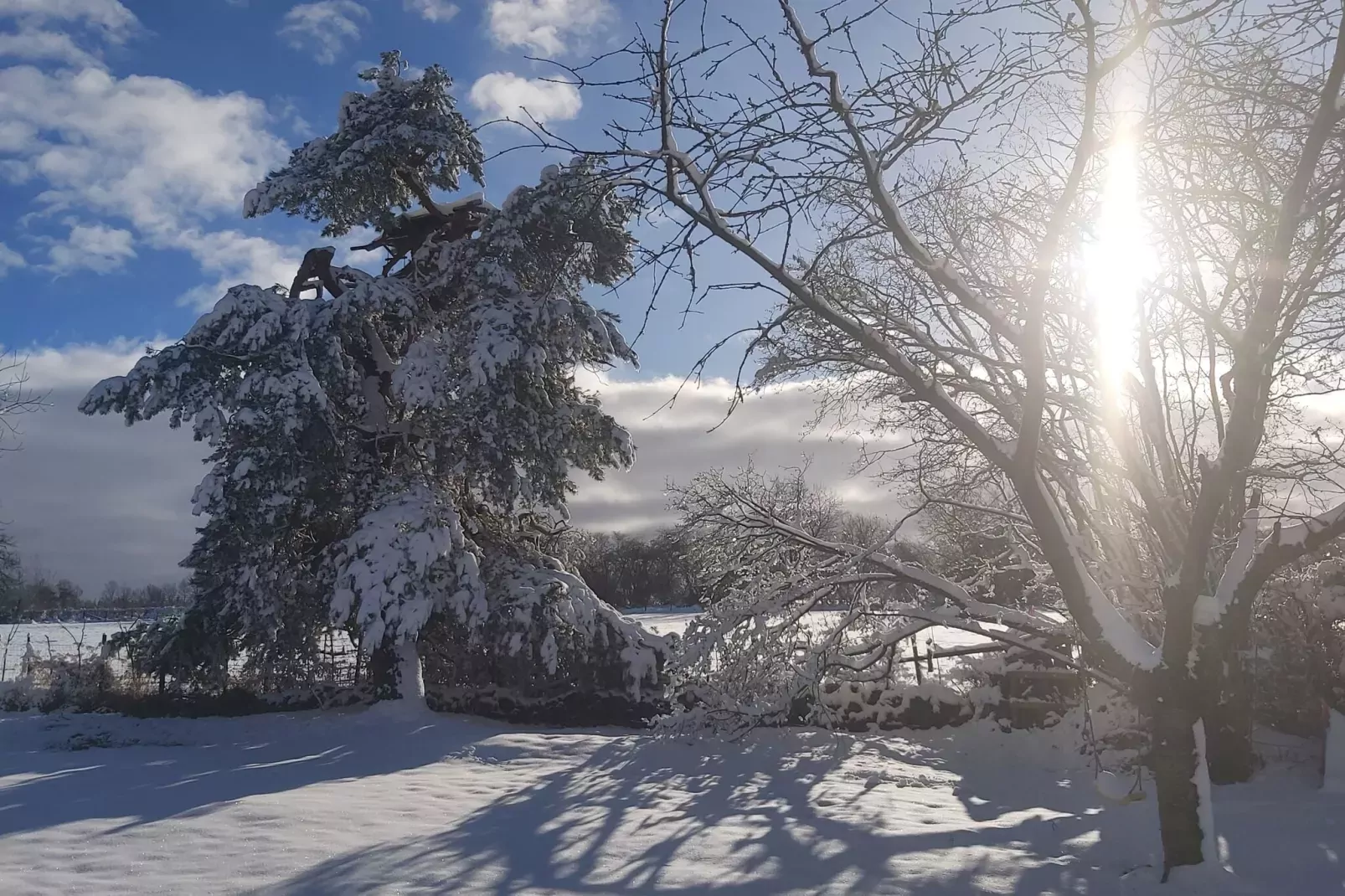 Ardennes Bleu 8 pers maximum-Garten Winter
