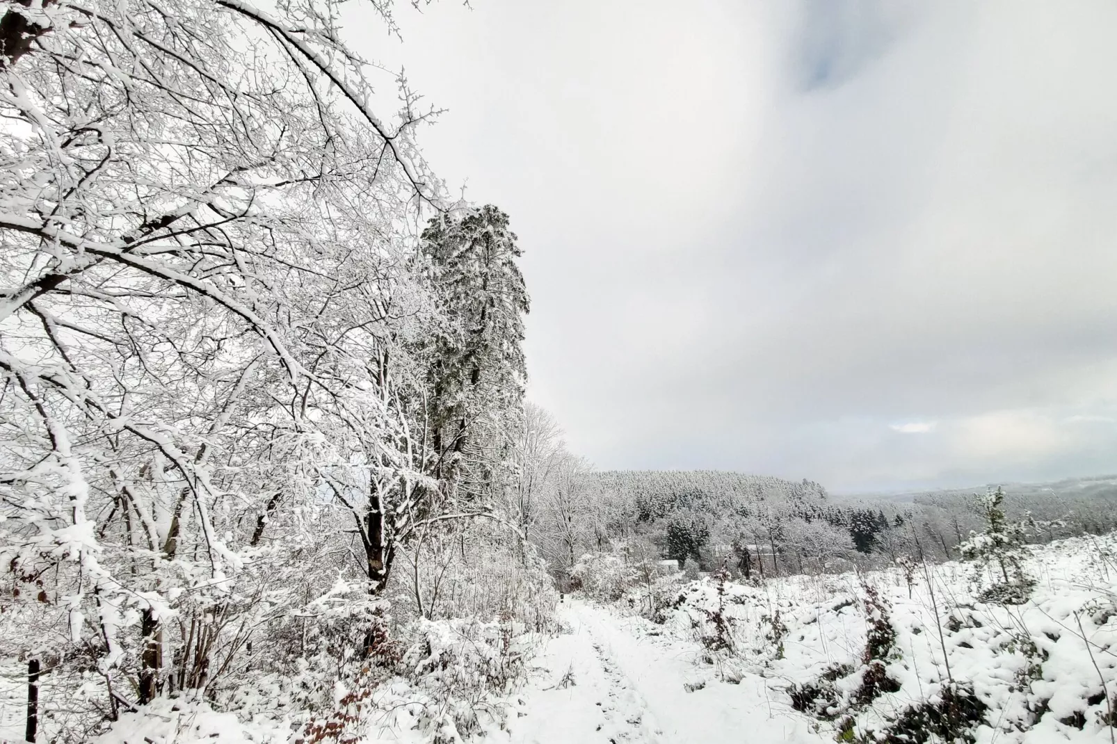Ardennes Bleu 8 pers maximum-Gebiet Winter 20 km