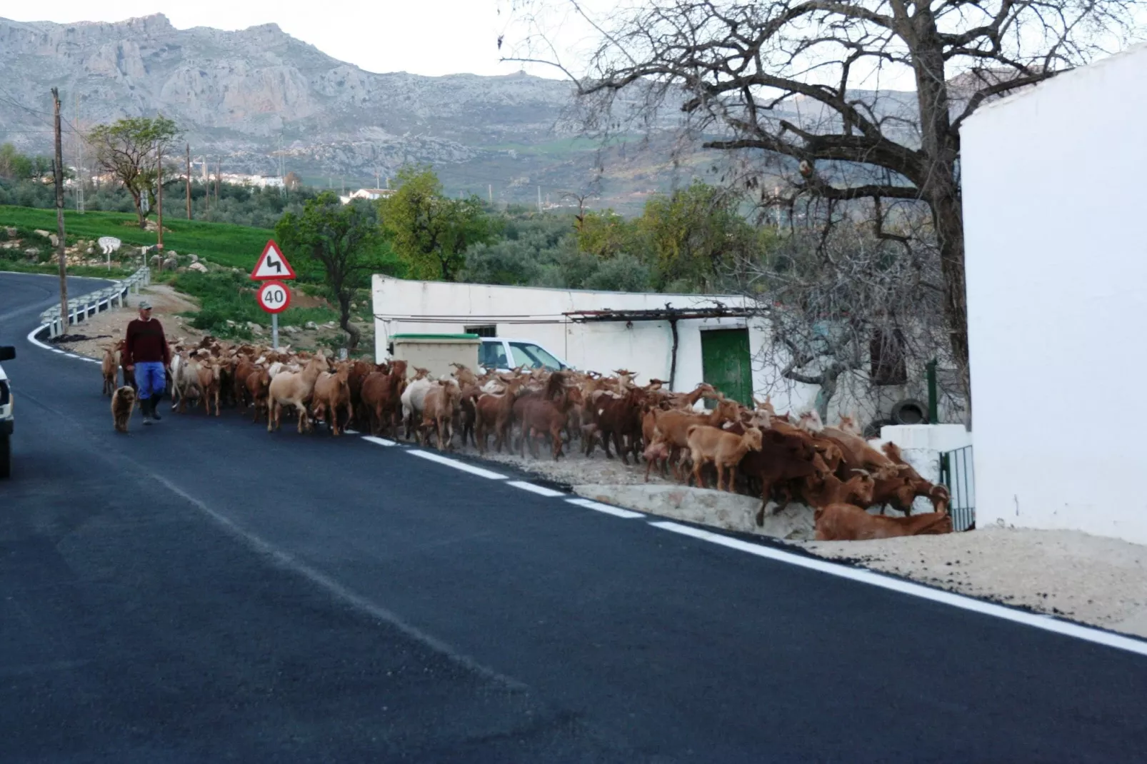 Casa Torrejón-Areas summer 1km