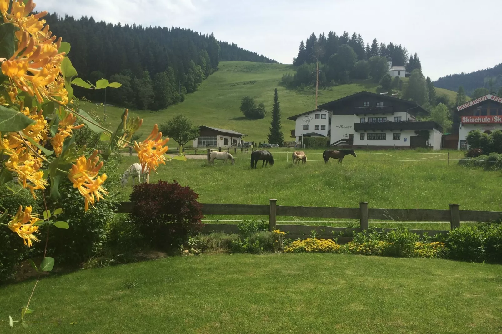 Chalet Kaiserliebe II-View summer