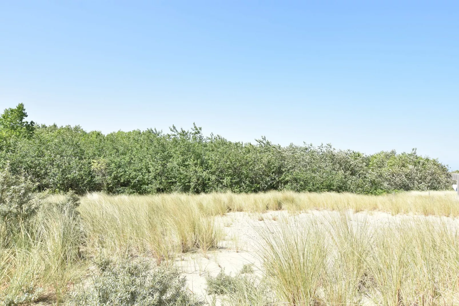 Zilte Rust-View summer