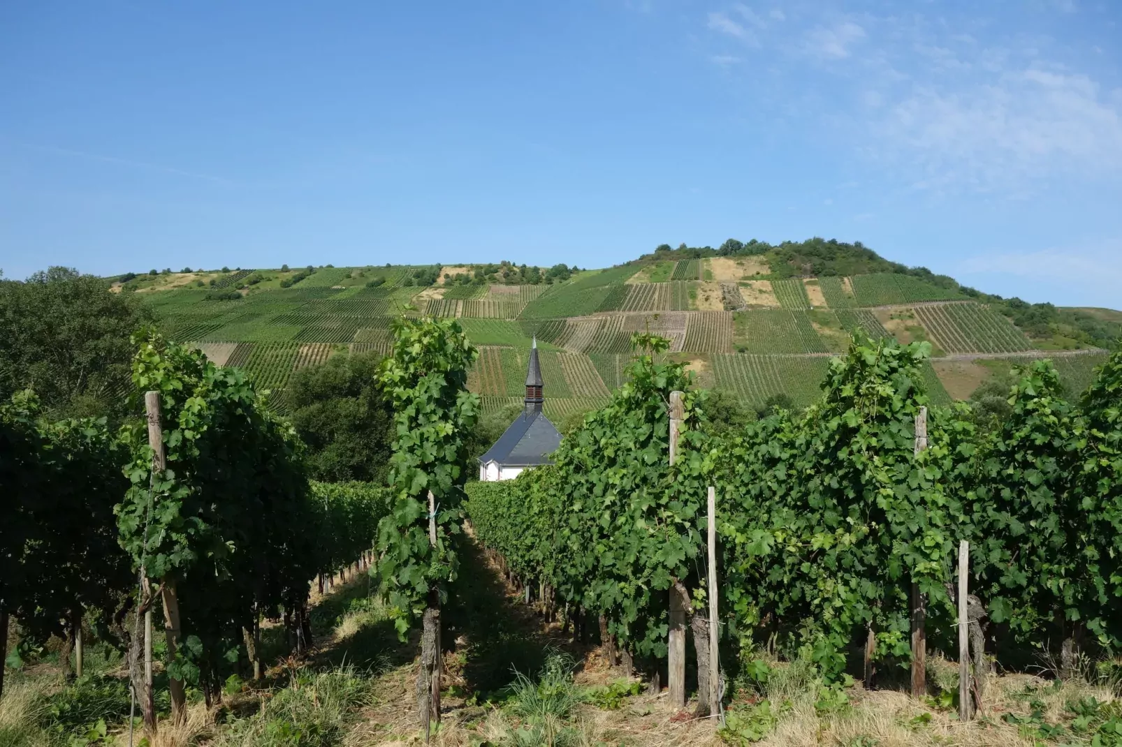 Mond-Areas summer 5km
