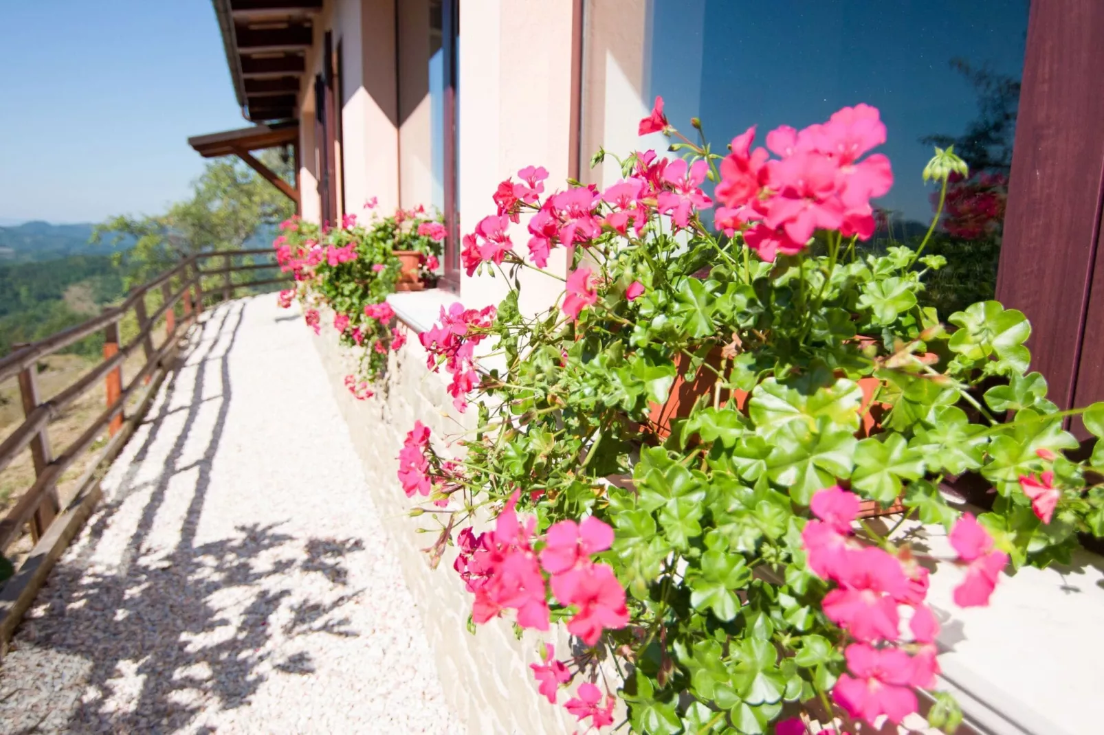 Amarena-Terrace balcony