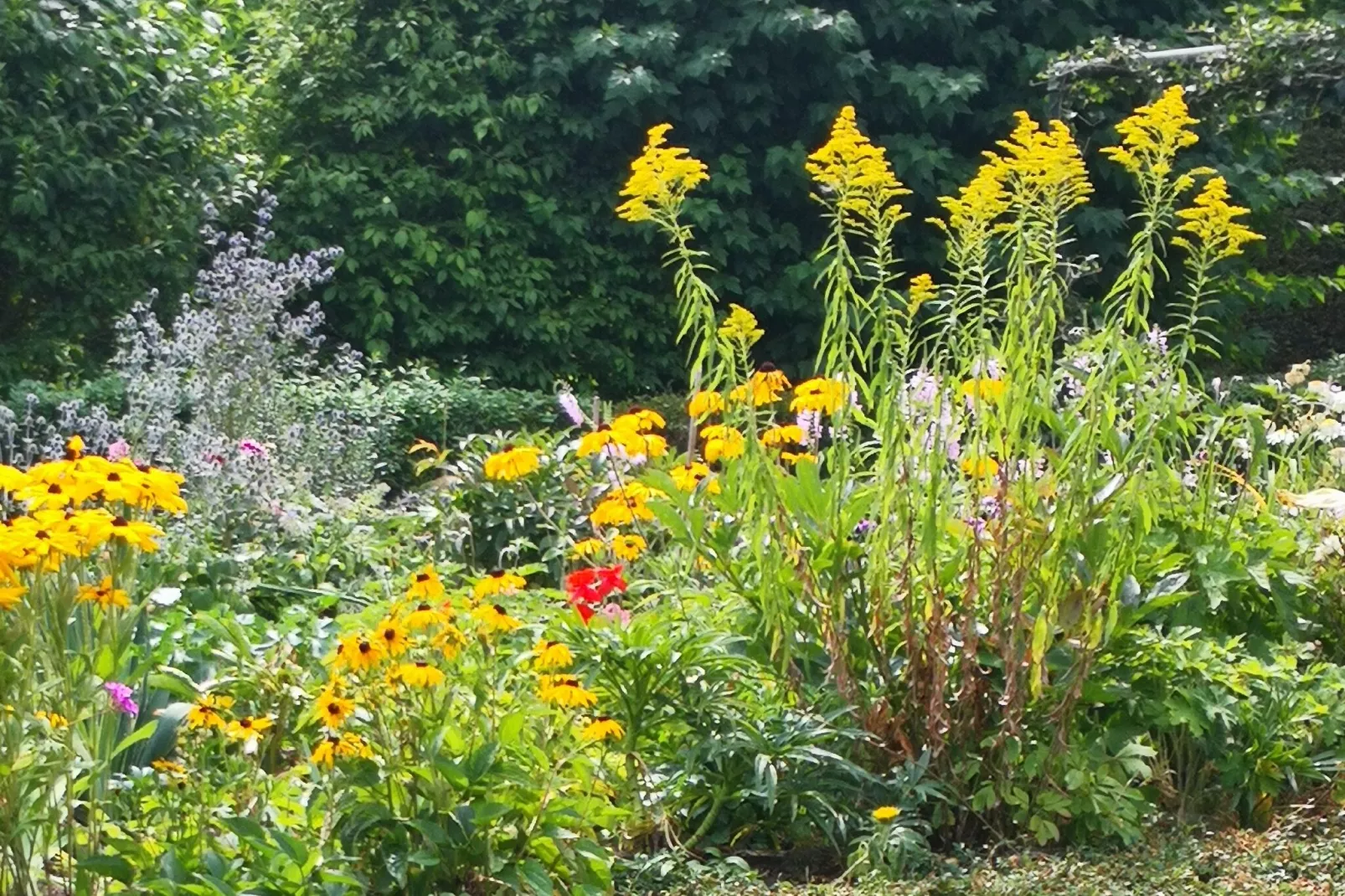 Hinternah-Gardens summer