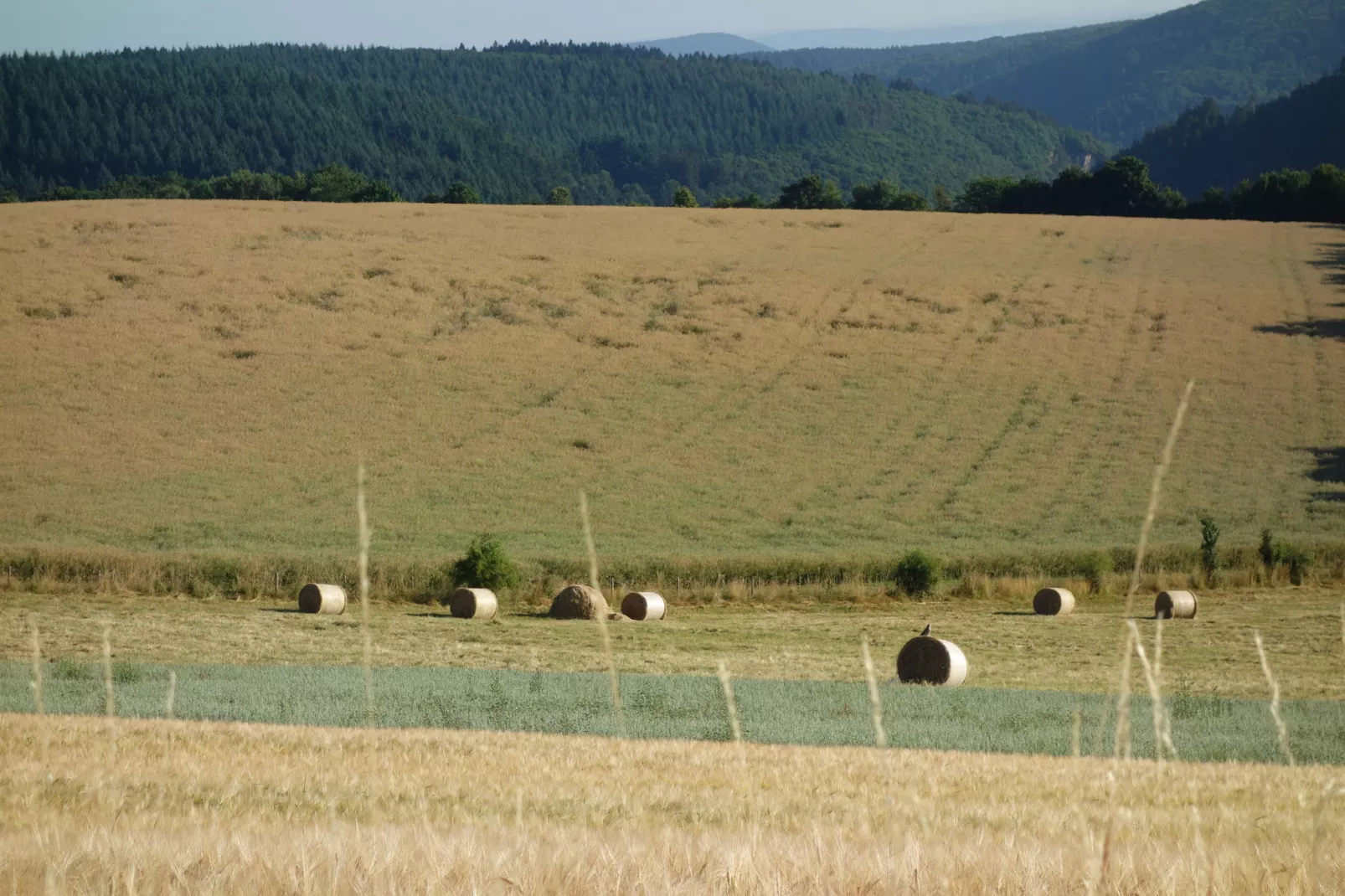 Stern-Areas summer 20km