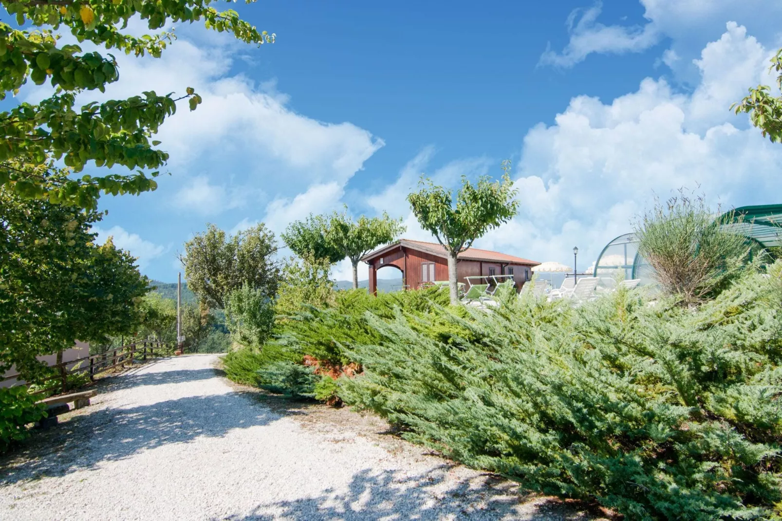 Amarena-Gardens summer