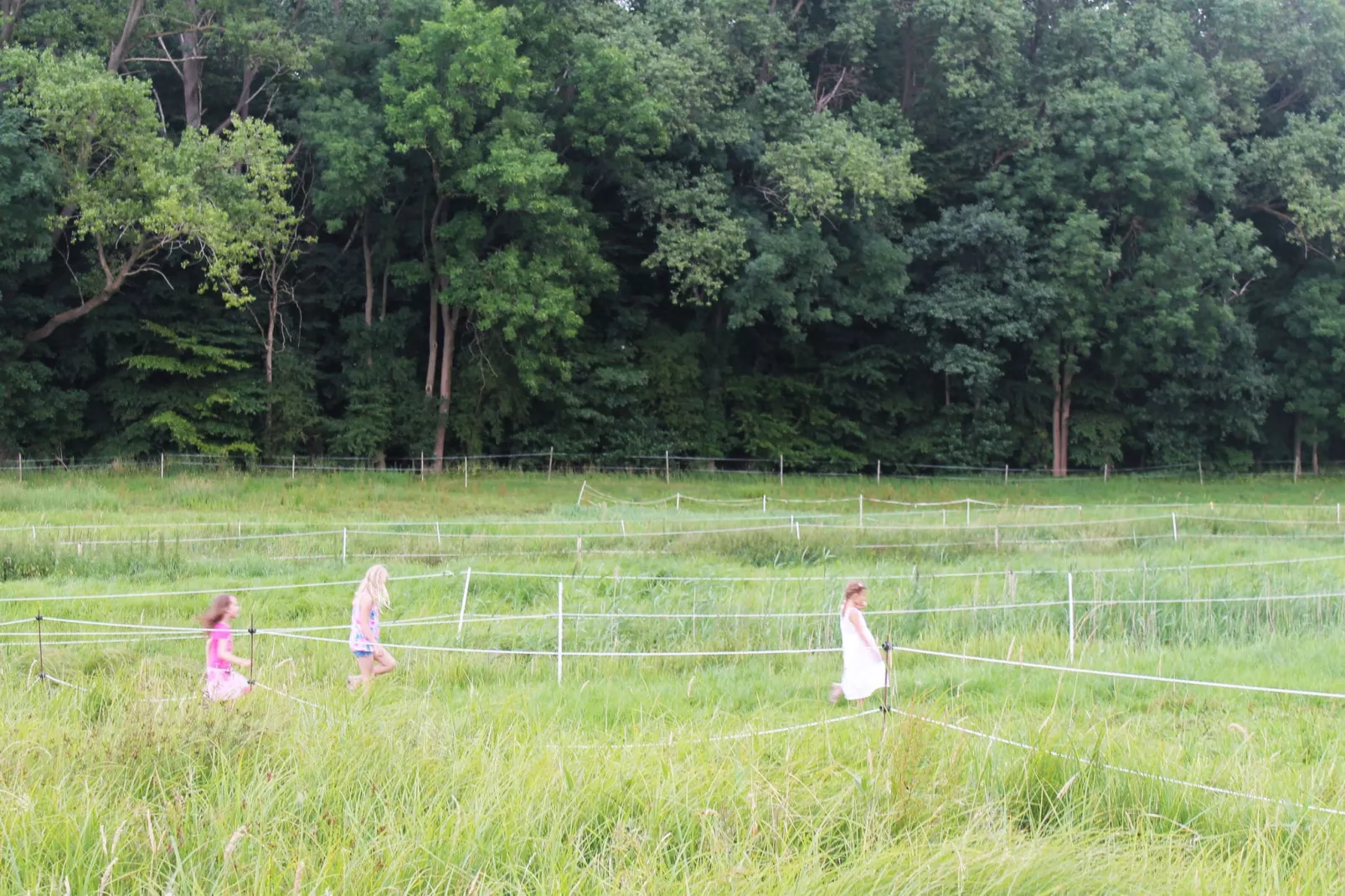 Am Hellbachtal 1&2-Gardens summer