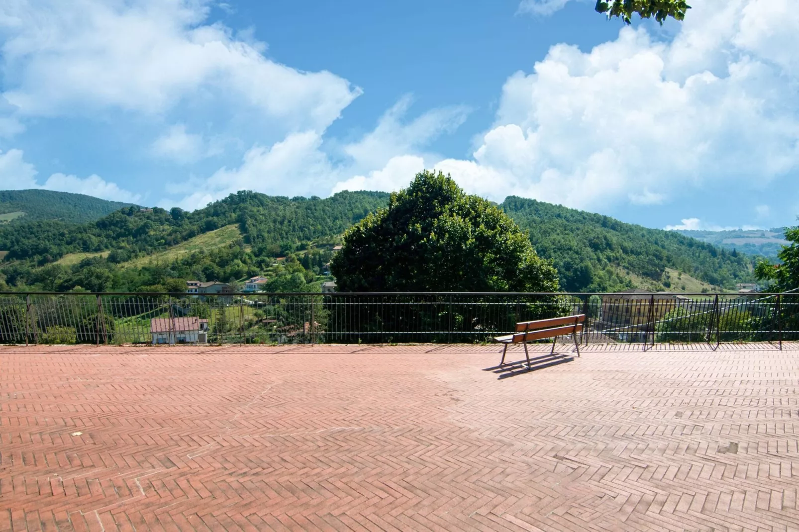 Amarena-View summer