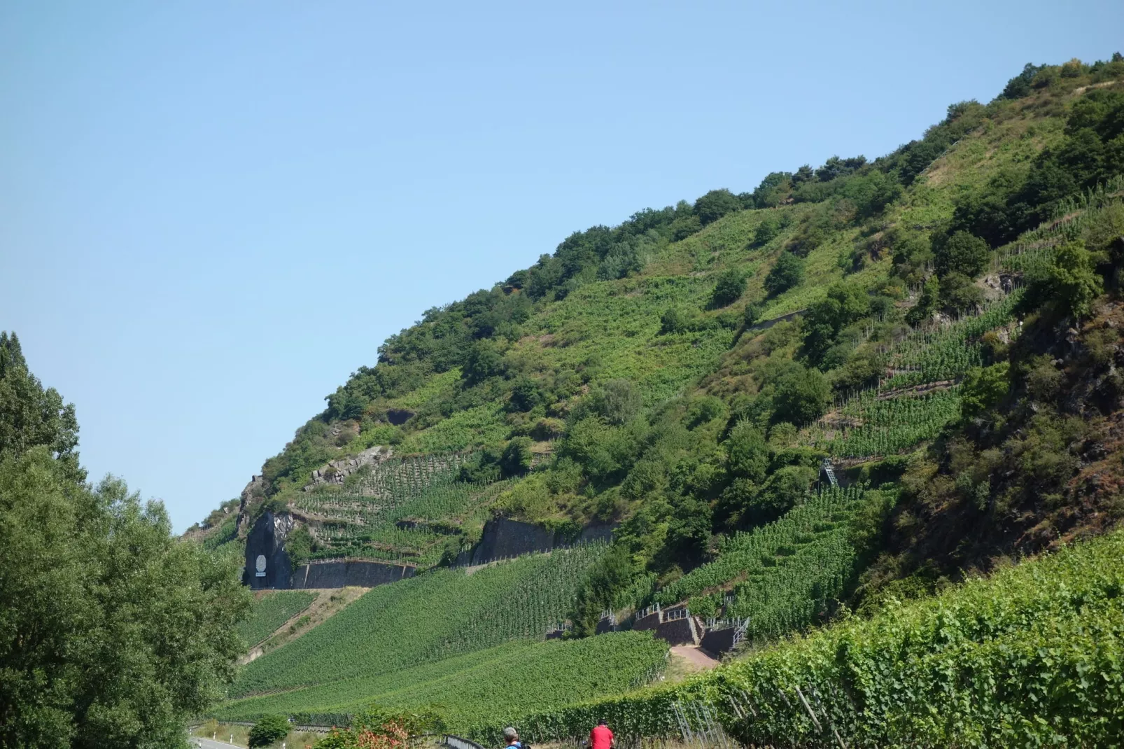 Sonne-Areas summer 20km