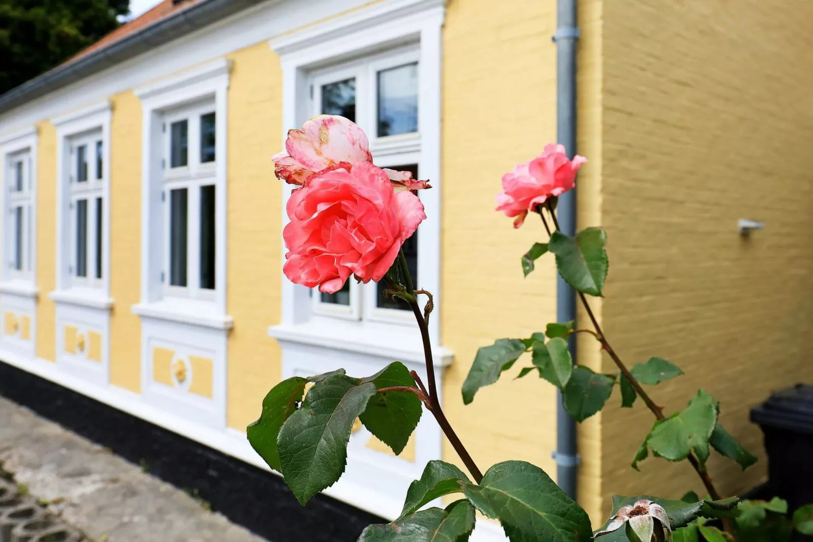 5 person holiday home in Marstal-By Traum-View