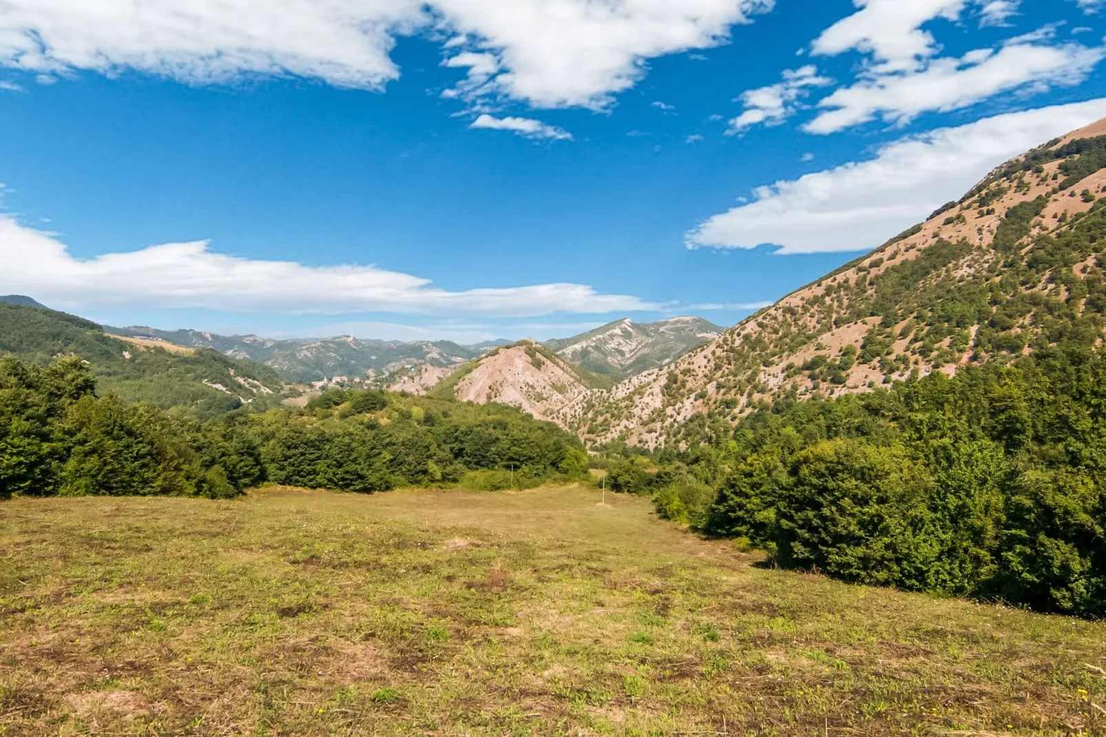 Casciotto-Areas summer 1km