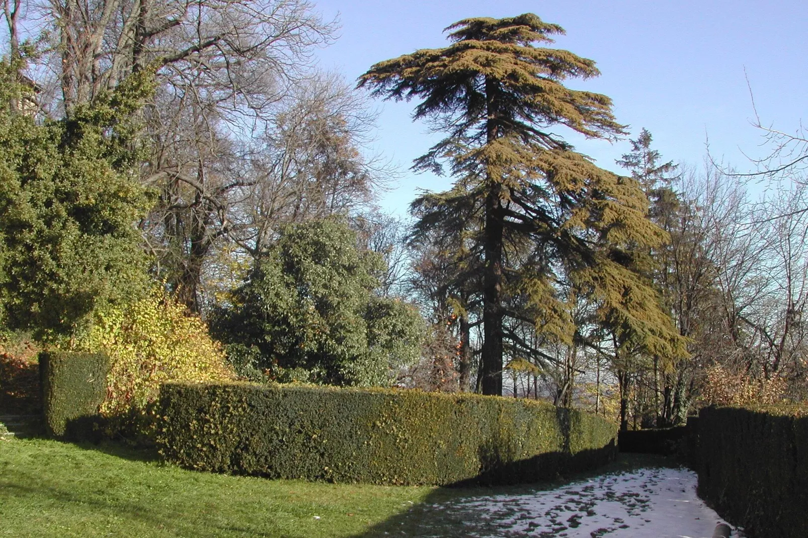 Castello di Robella-Gardens summer