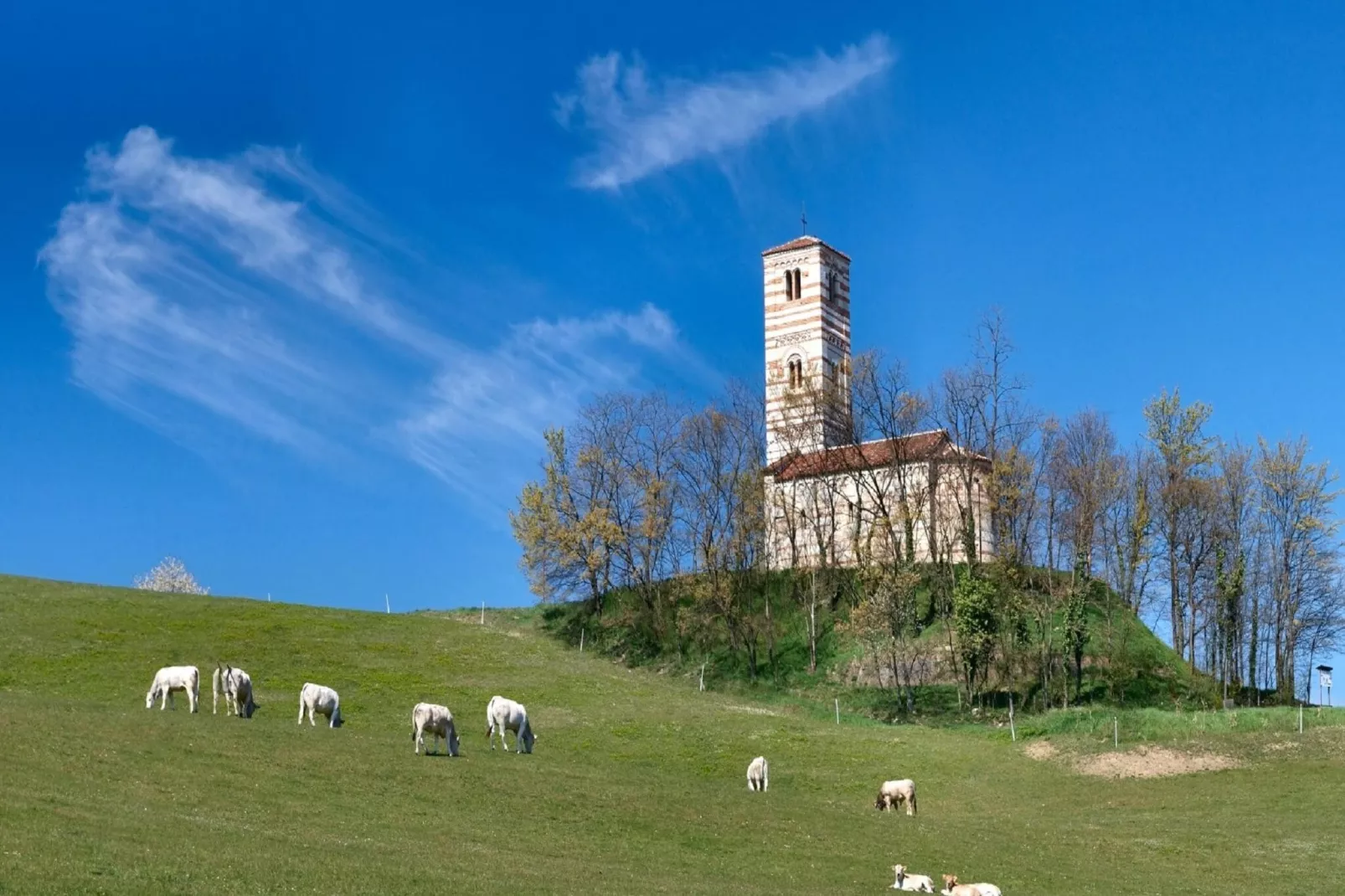 Castello di Robella-Areas summer 1km