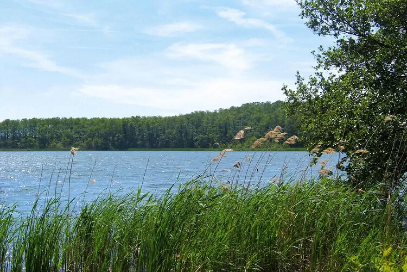 Seeblick 144 qm-Water view