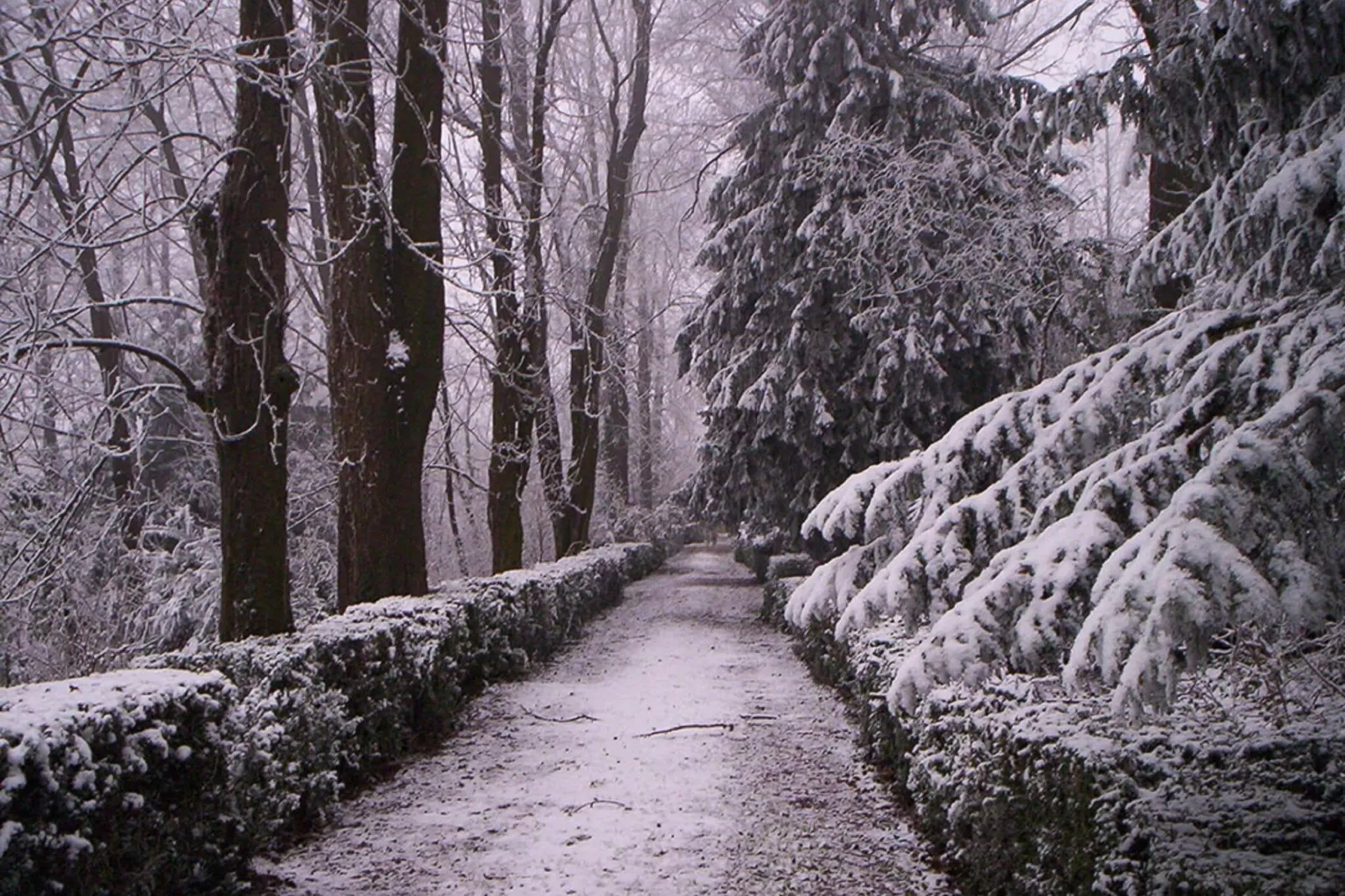 Castello di Robella-Area winter 5km