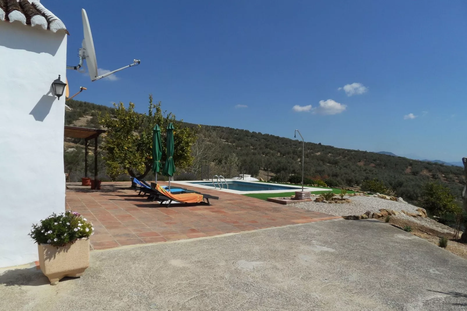 El Trigal-Gardens summer