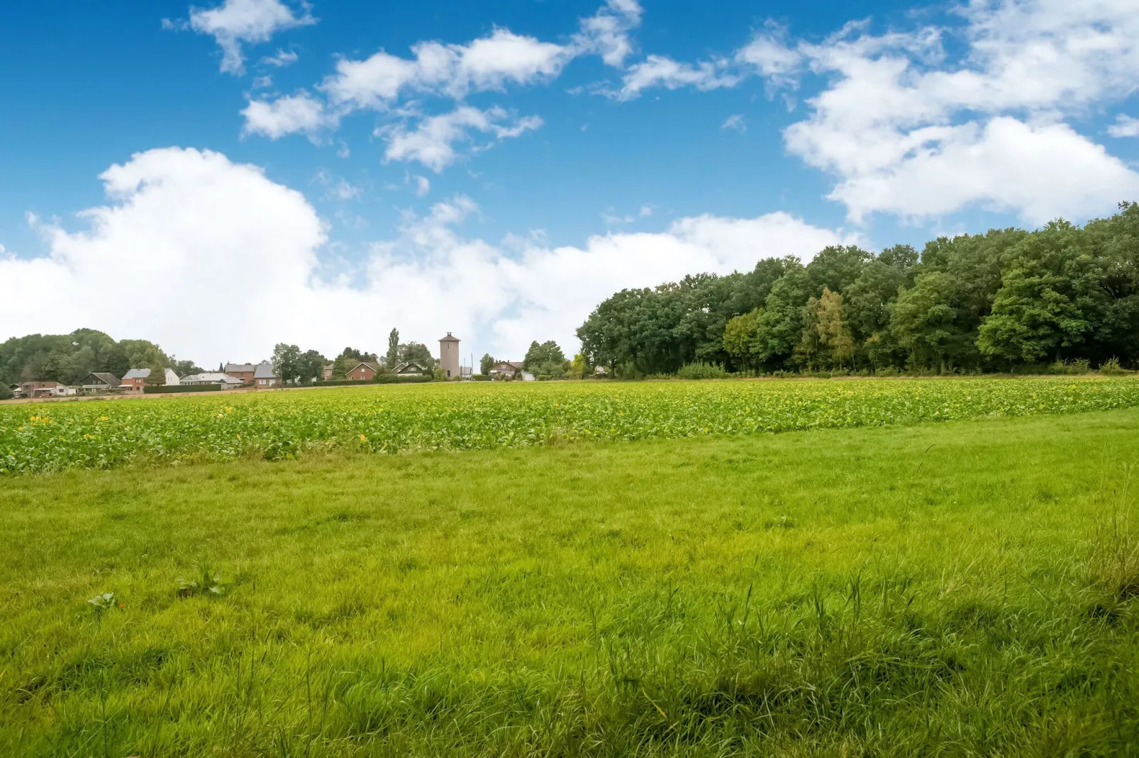 Le Gîte du Lac Privé-Zones d'été à 1 km