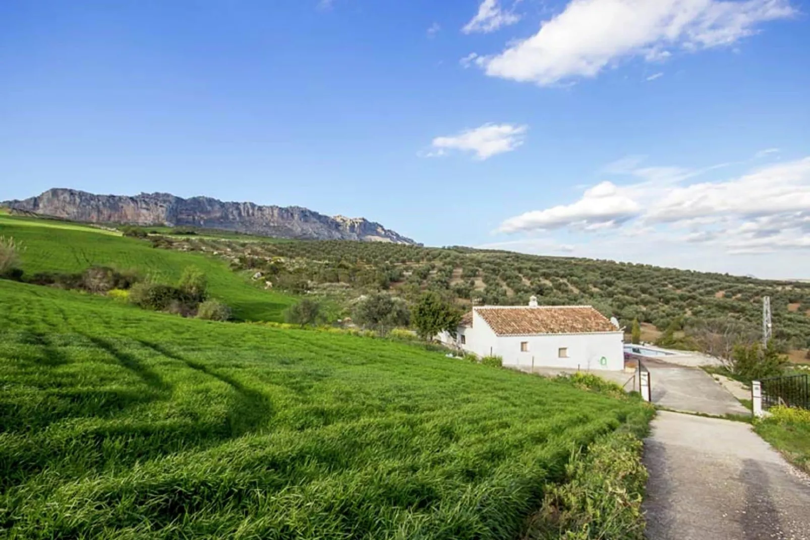 El Trigal-Areas summer 1km