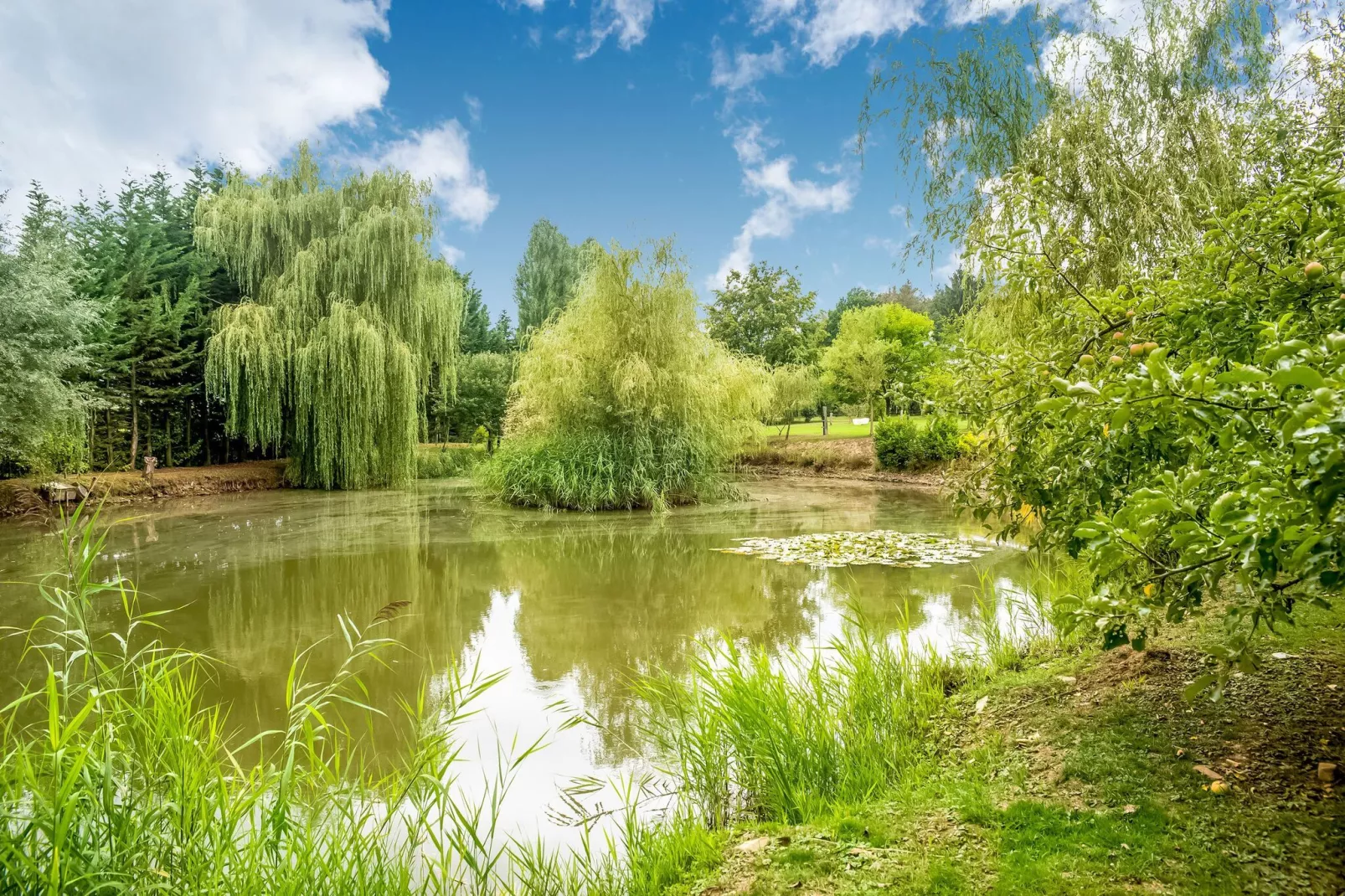 Le Gîte du Lac Privé-Zones d'été à 1 km