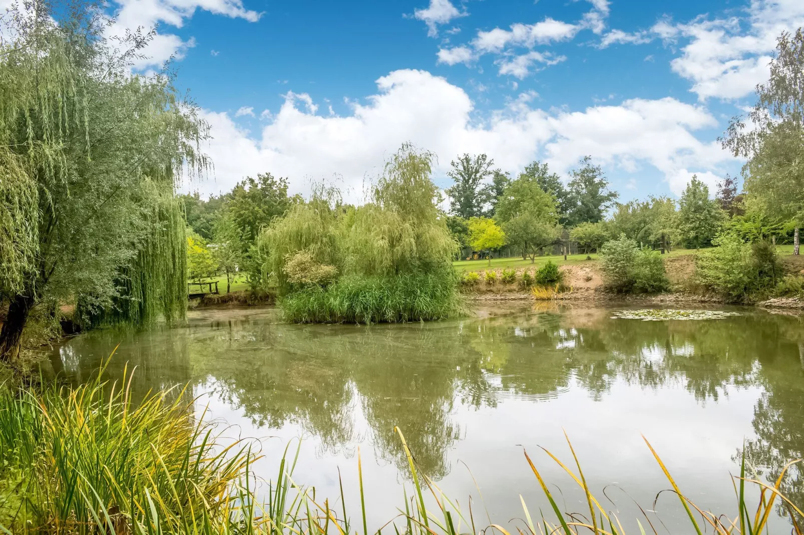 Le Gîte du Lac Privé-Zones d'été à 1 km