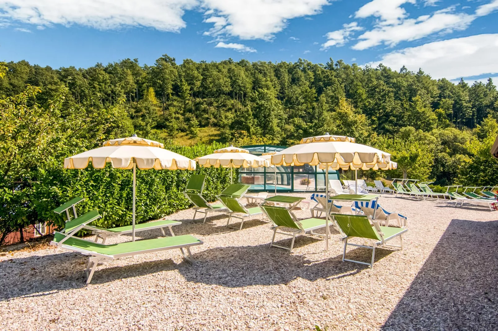 Bianchello-Gardens summer