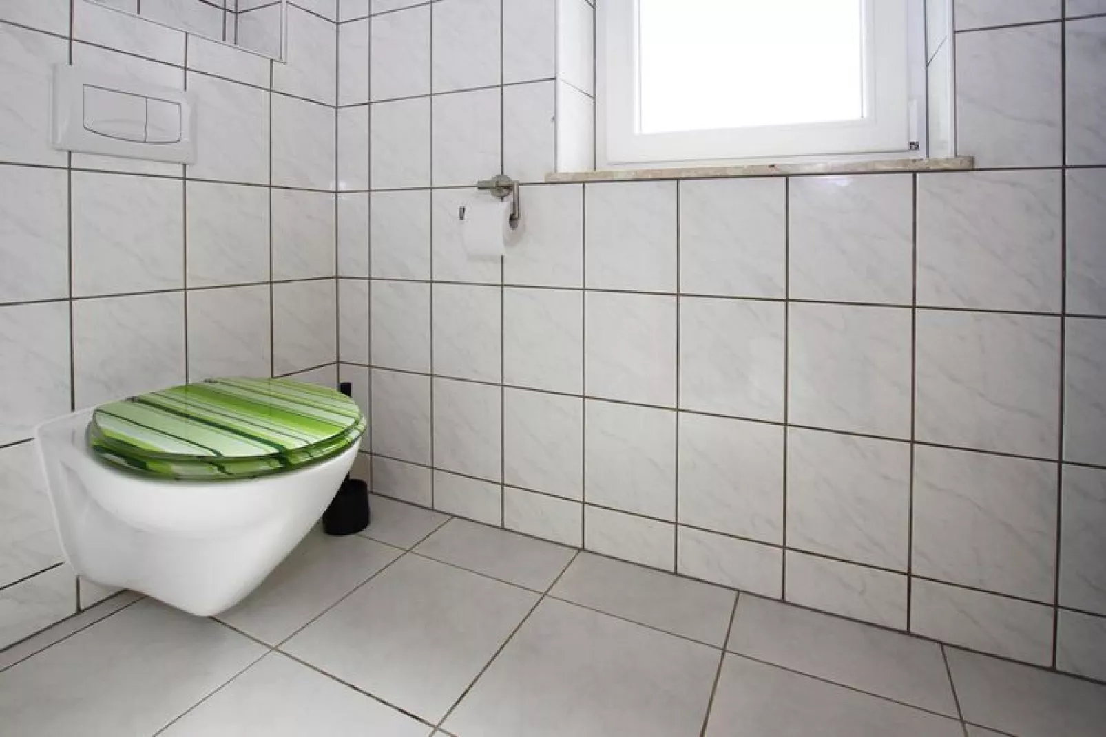 Ferienhaus Seeadler 62 qm-Bathroom