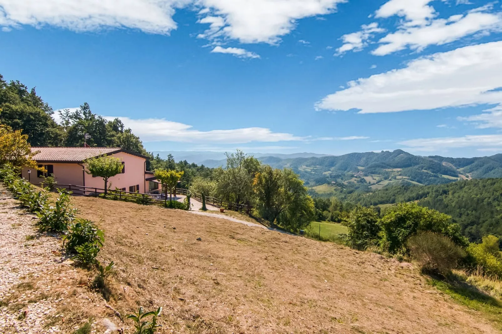 Bianchello-View summer