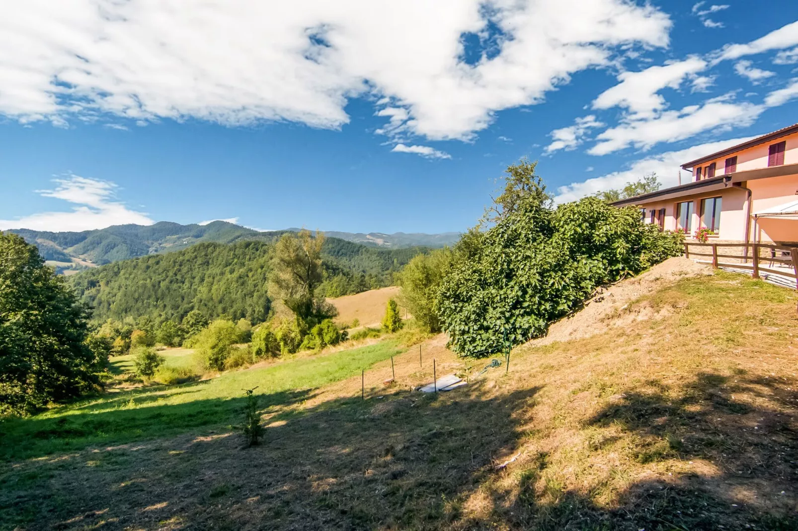 Bianchello-Areas summer 1km