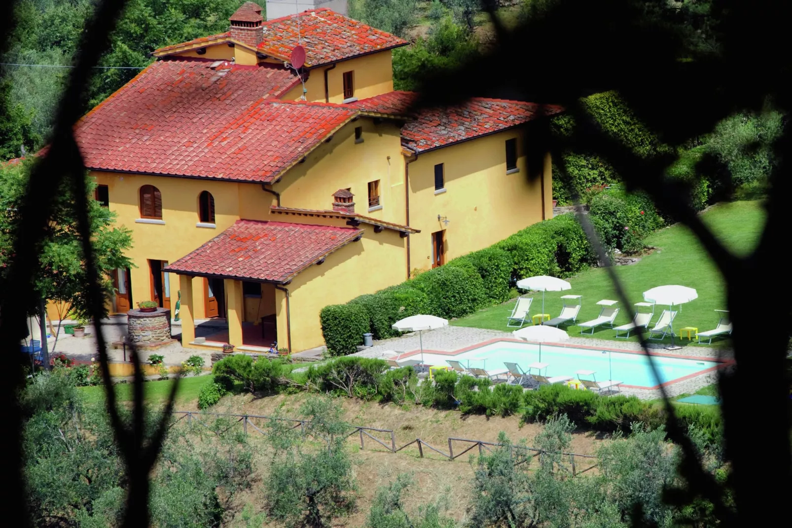 Podere Pulicciano Orciaia-Exterior summer