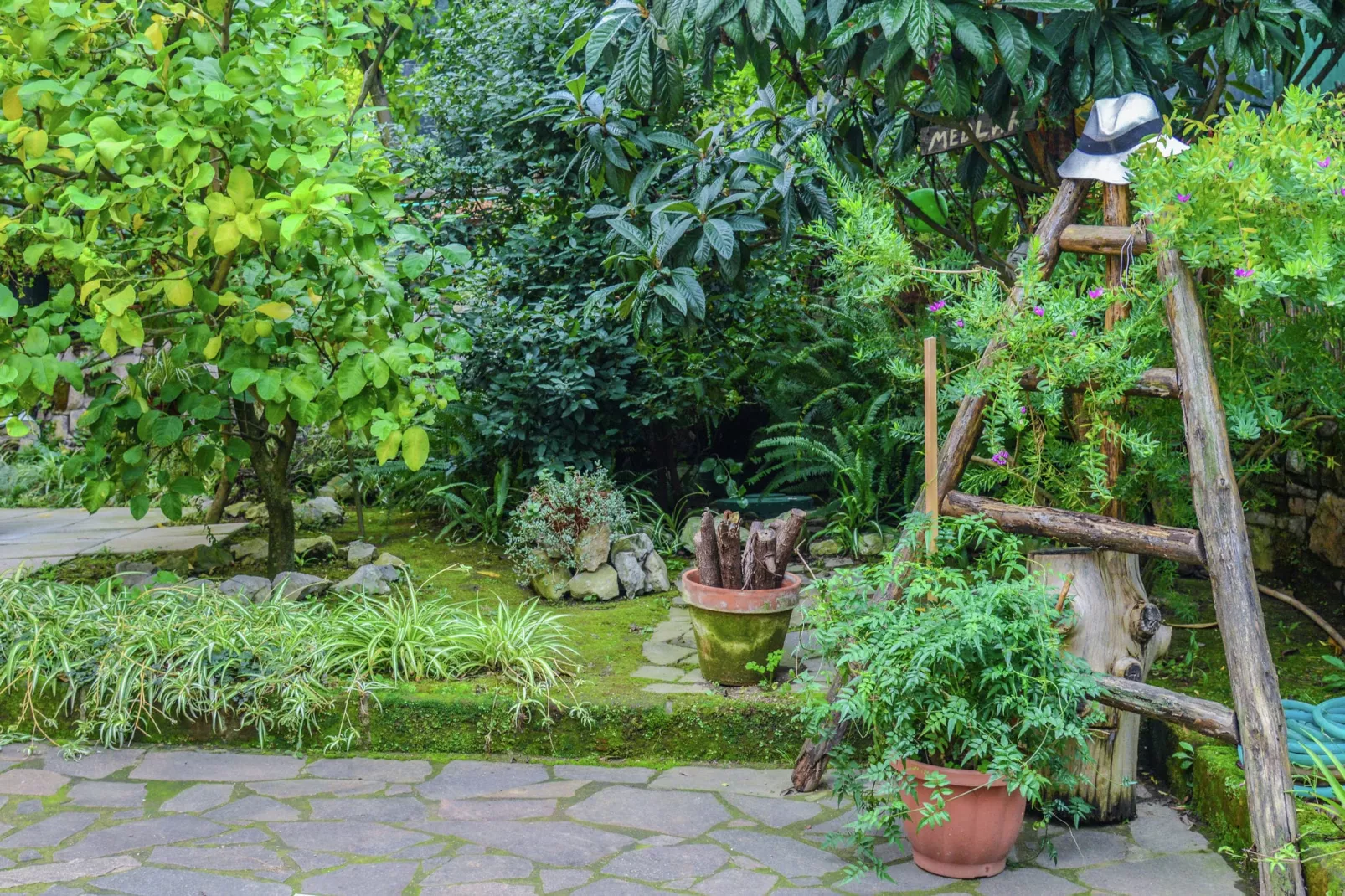 Edera-Gardens summer