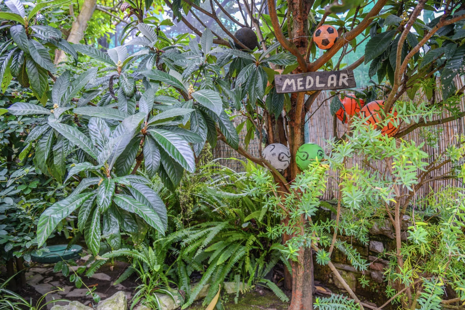 Edera-Gardens summer
