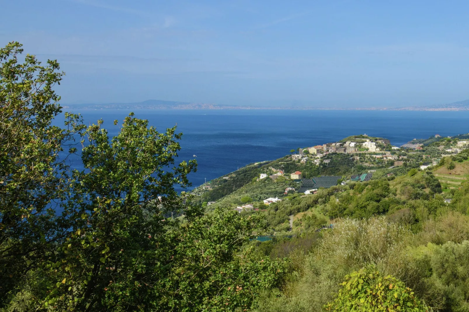 Edera-Areas summer 1km