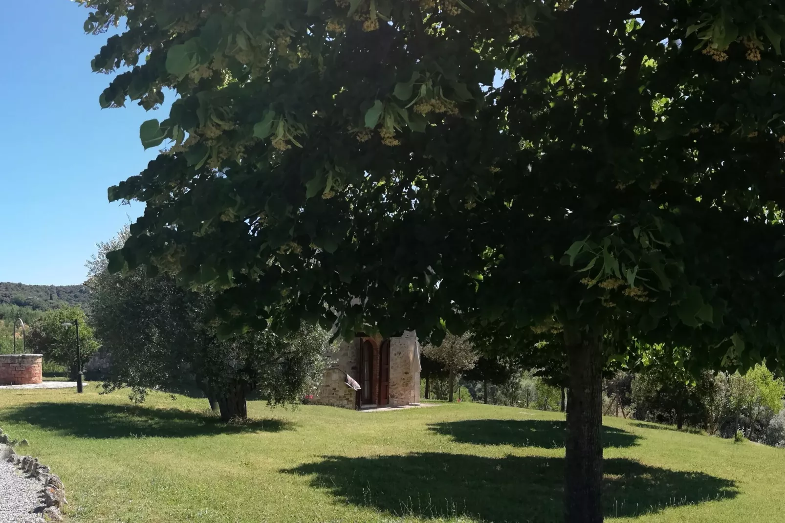 Appartamento Giotto-Gardens summer