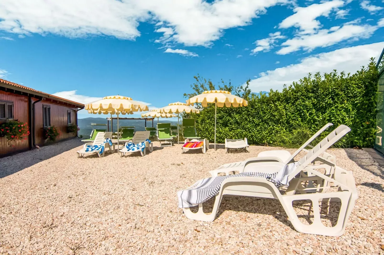 Tartufo-Gardens summer