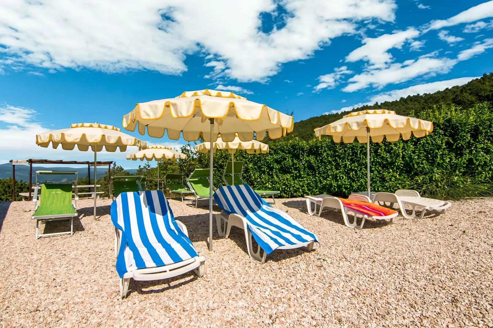 Tartufo-Gardens summer