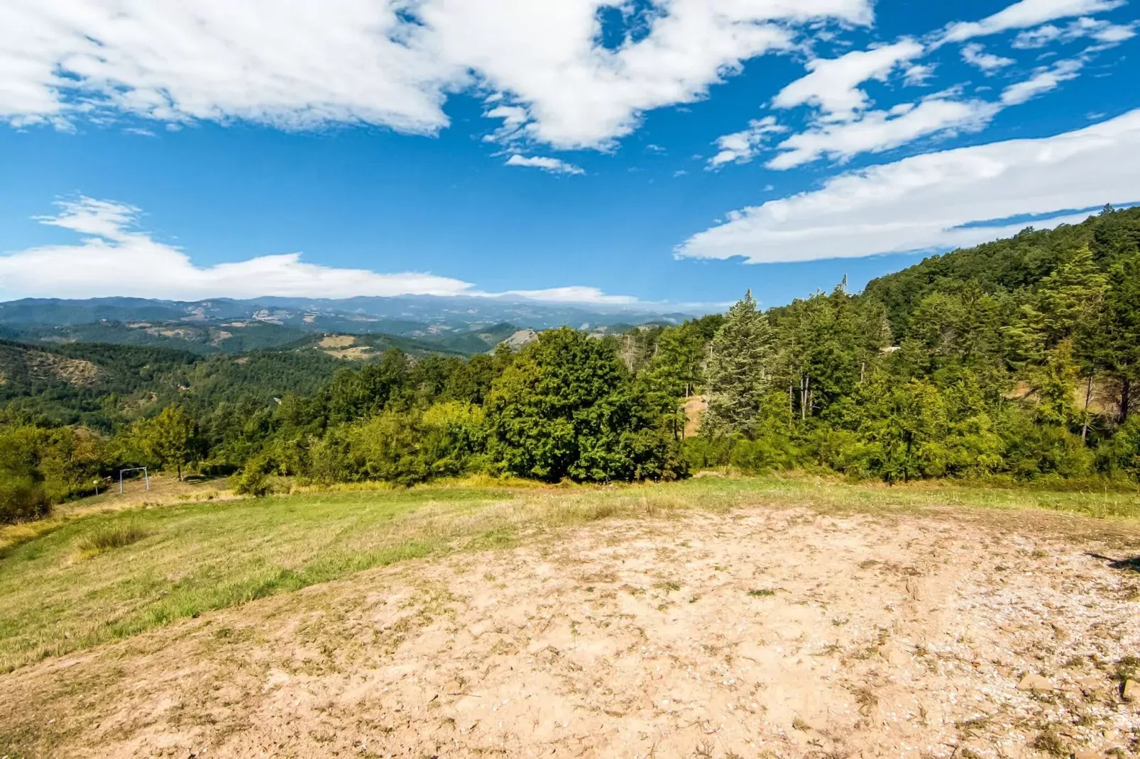 Tartufo-View summer