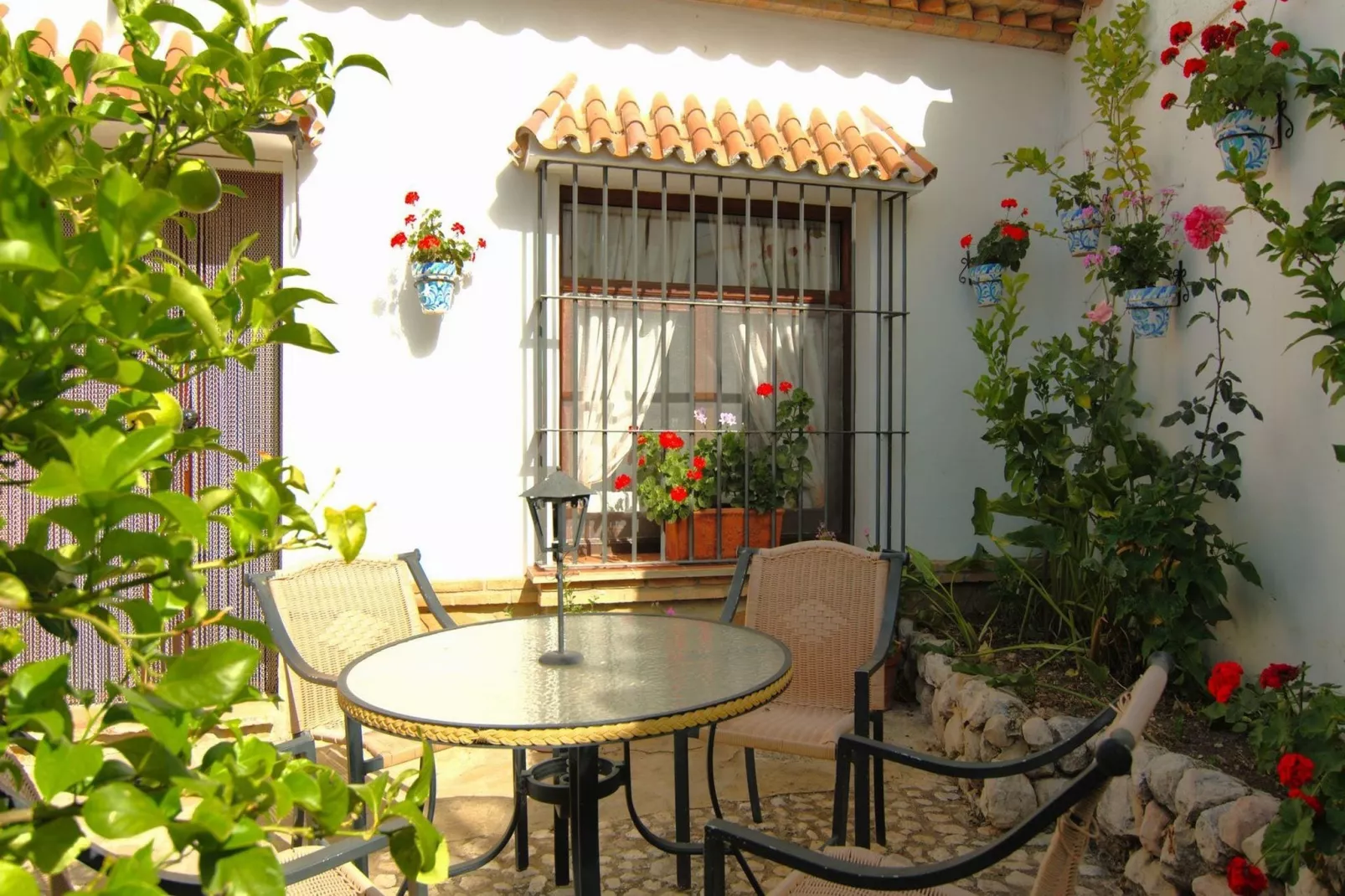 Casa Almendro-Terrace balcony