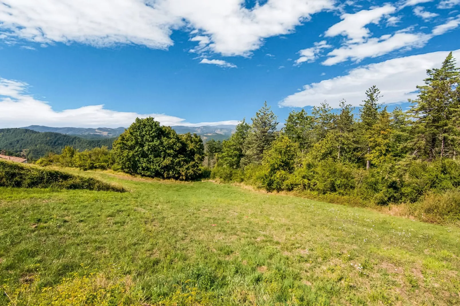 Tartufo-Areas summer 1km