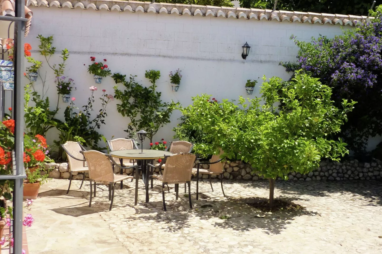 Casa Almendro-Terrace balcony