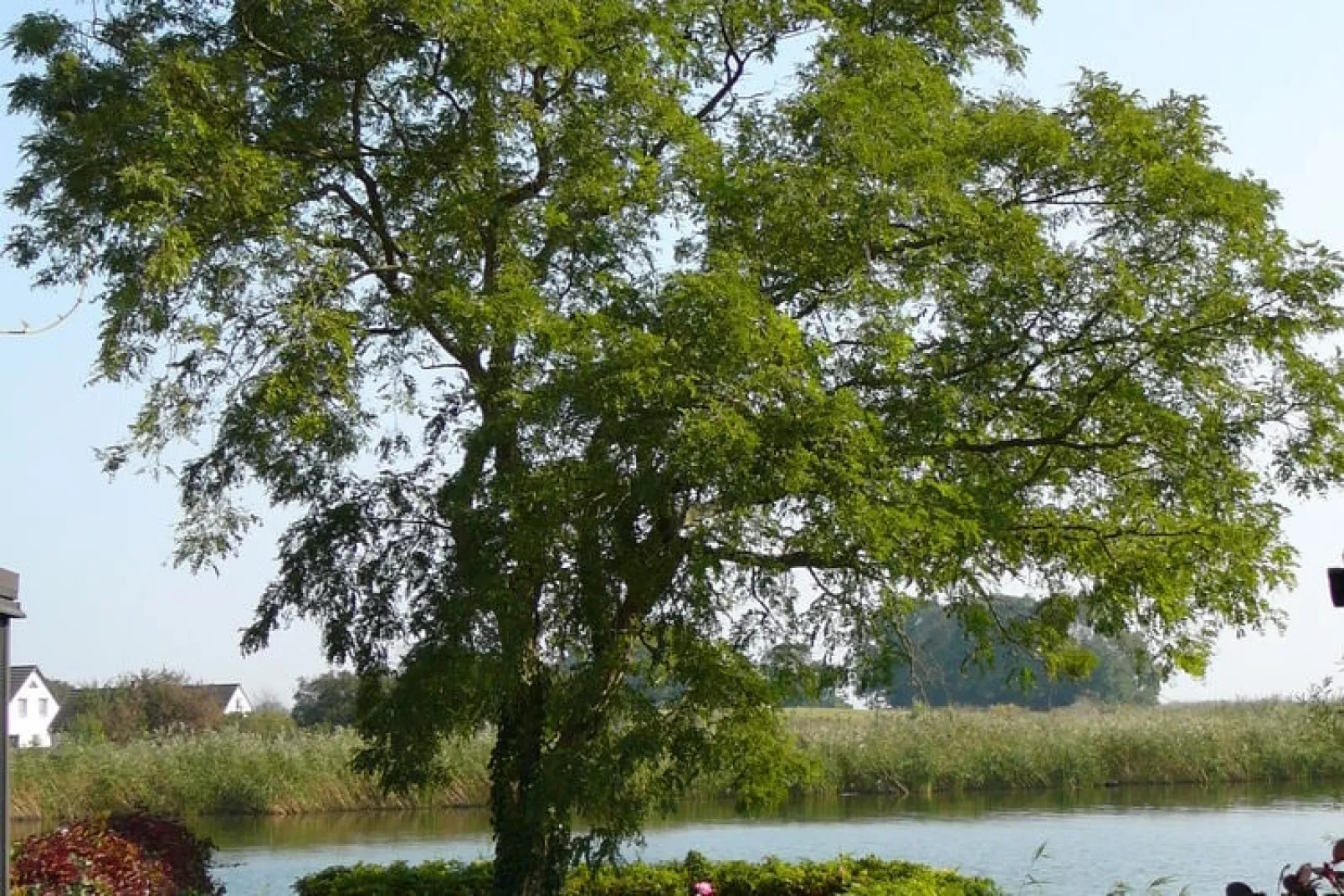 Usedom-Areas summer 1km