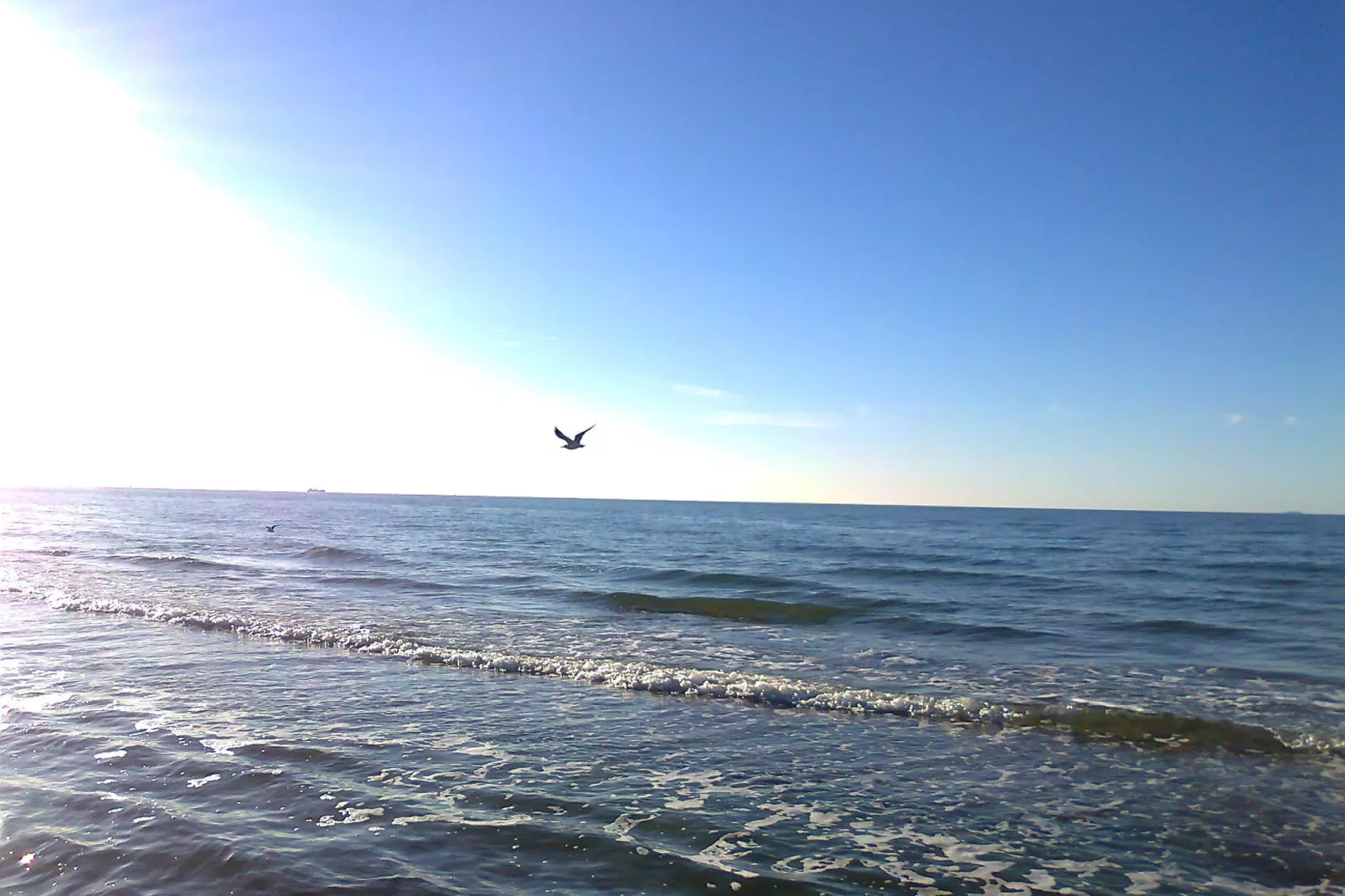 Usedom-Areas summer 20km