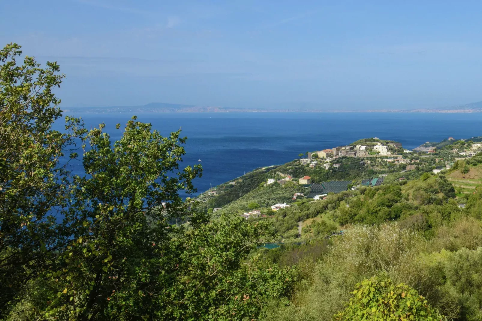Nunziatina-Areas summer 1km