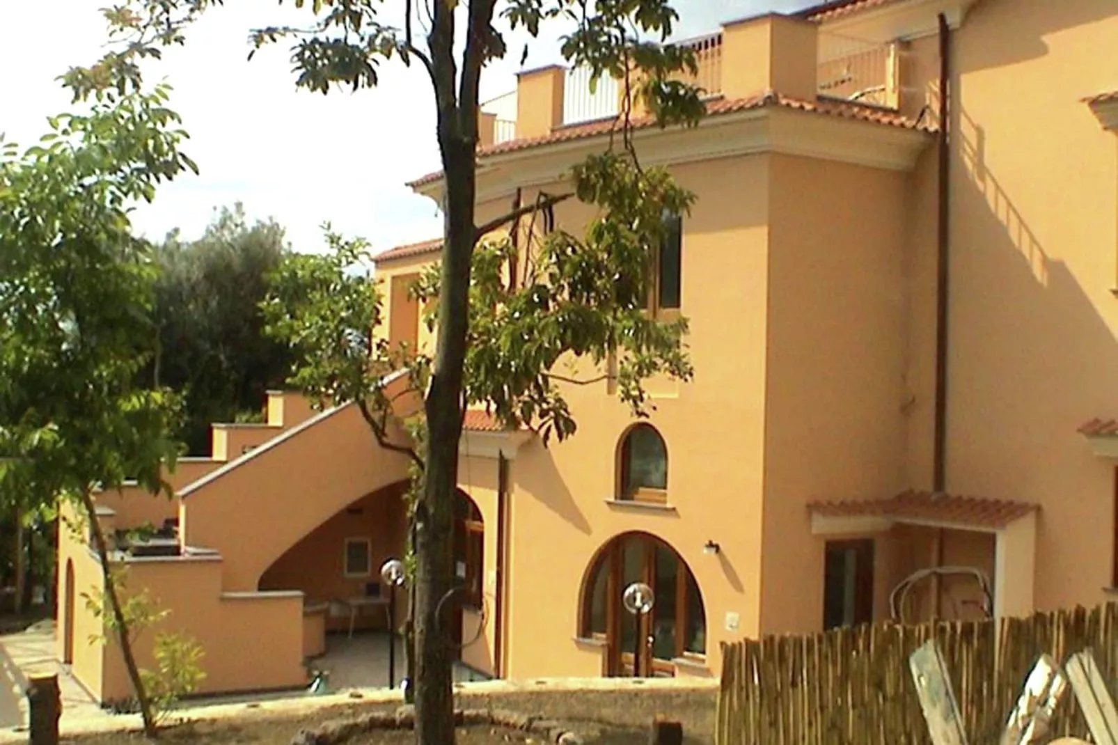 Rosa-Exterior in summer