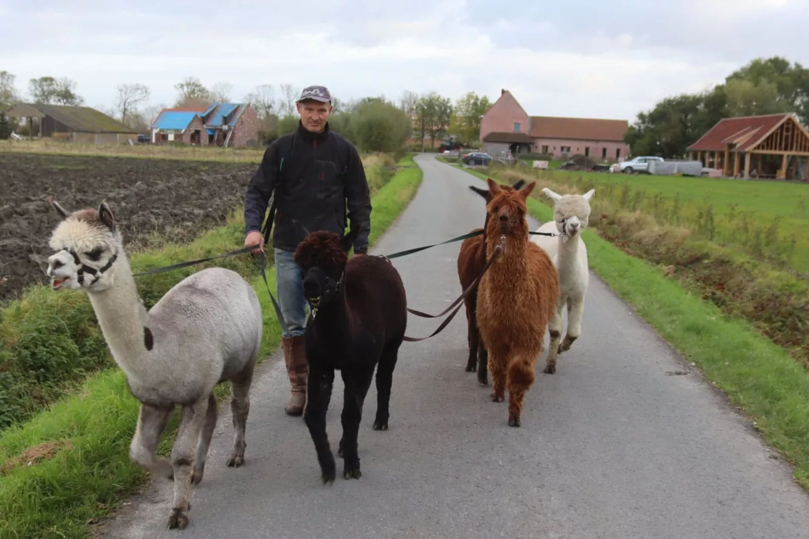 D’Ereplatse Bed and Breakfast-Gebiete Sommer 5 km