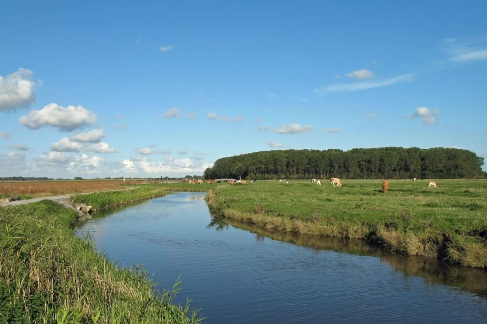 D’Ereplatse Bed and Breakfast-Gebiete Sommer 5 km